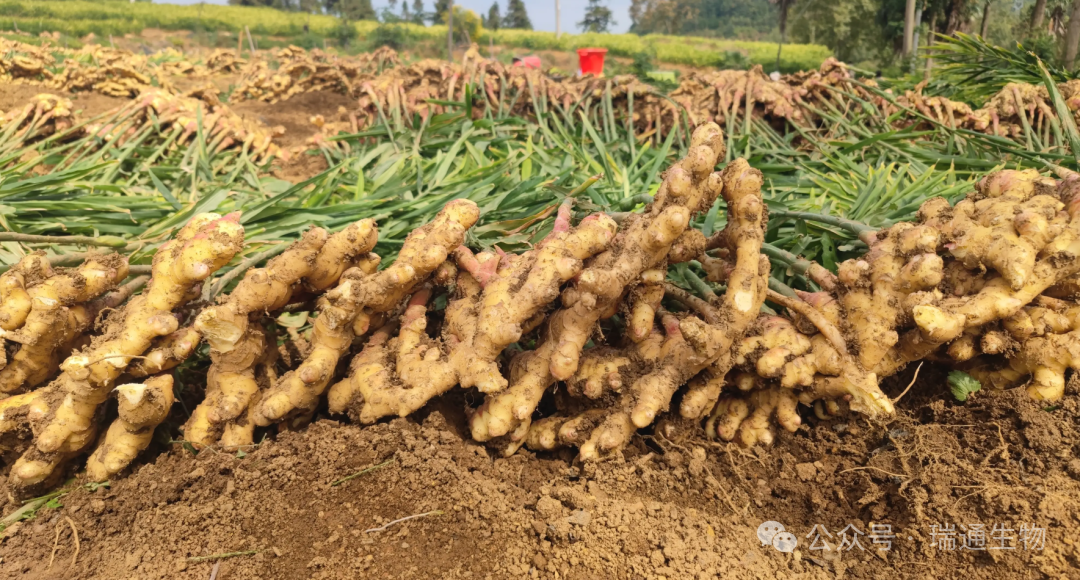 576b72c096a93667f5b3fde19ec19e09